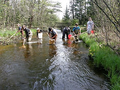 sampling 2013.jpg